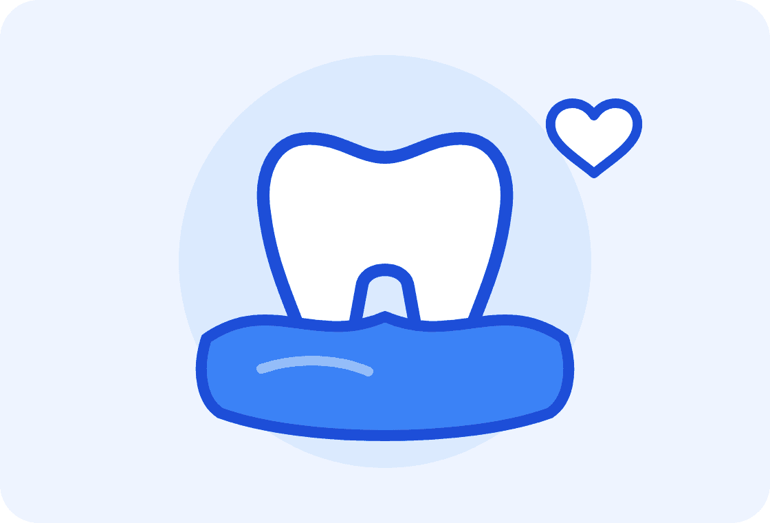 Illustration of a tooth in healthy gums